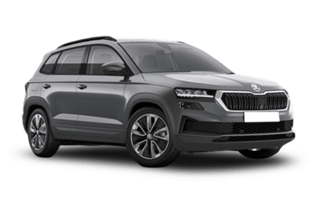 Skoda Karoq Серый
